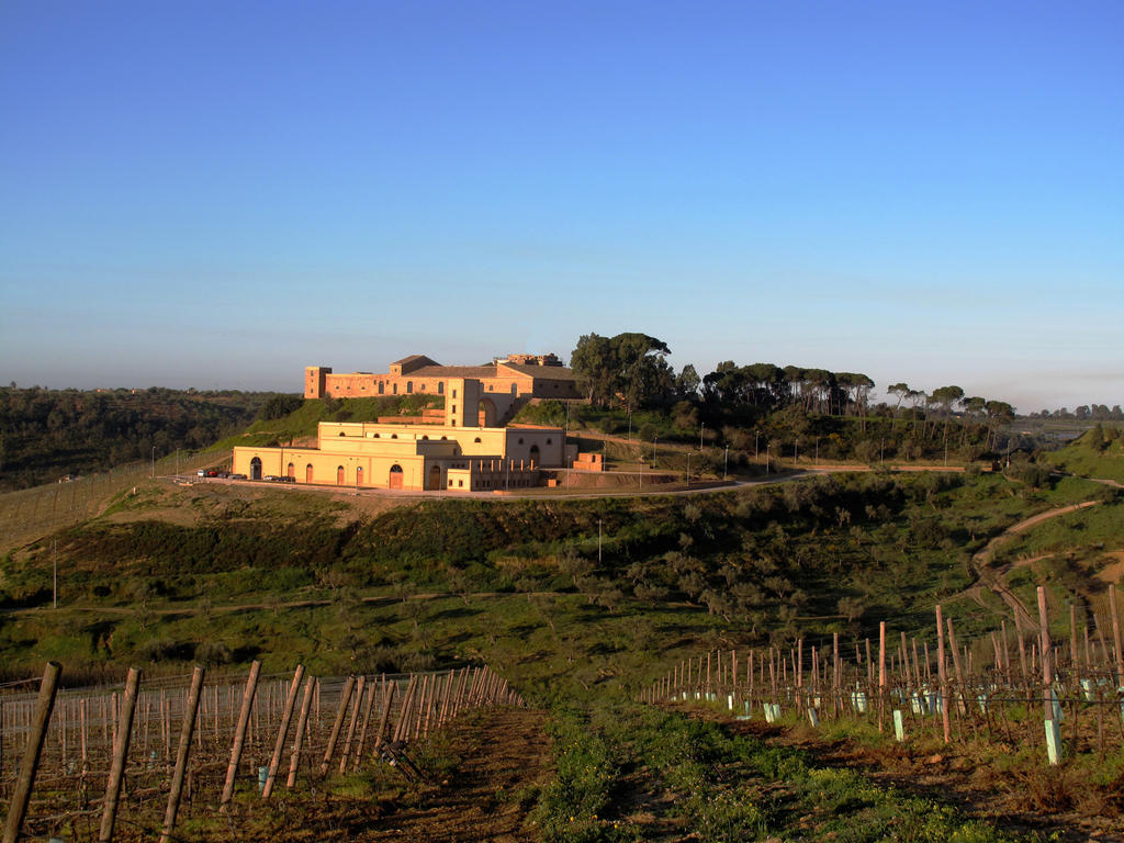 הוילה Niscemi Wine Relais Feudi Del Pisciotto מראה חיצוני תמונה